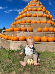 Boaz at Sandhill Gardens September Fall Festival